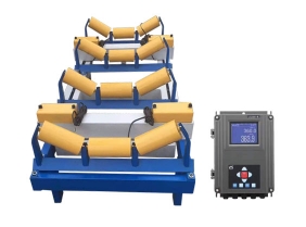 江门电子皮带秤